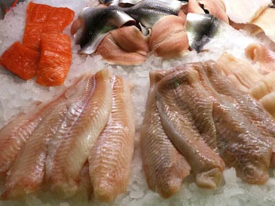 Auswahl verschiedener Frischfische